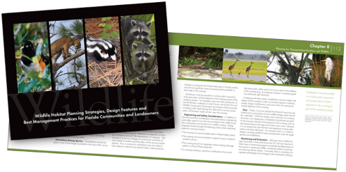 CE2 Studios Brochure 2